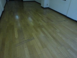 DSC02542